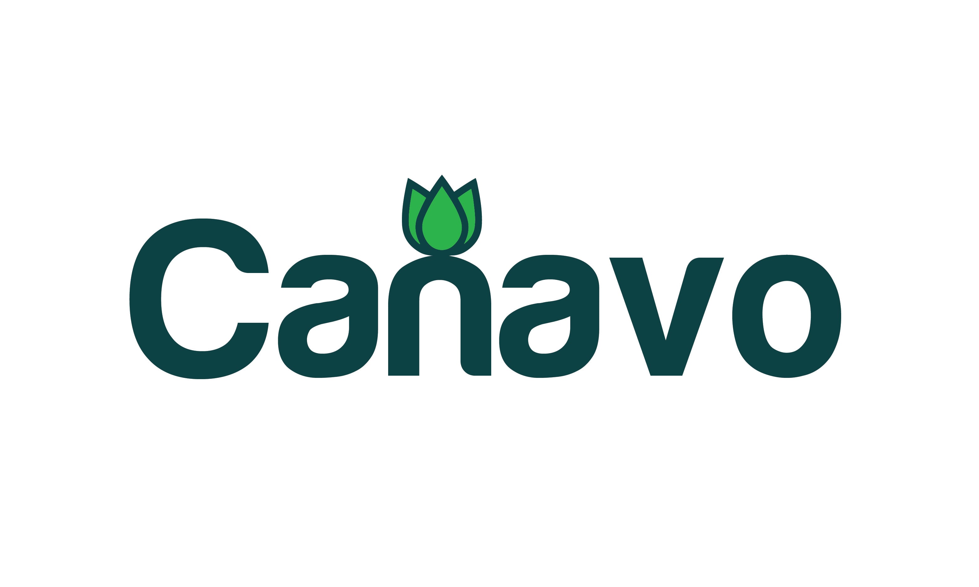 Canavo logo